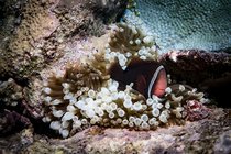 20190717_HOUSEREEF-5.jpg