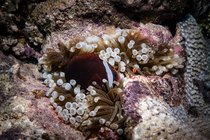 20190717_HOUSEREEF-4.jpg