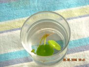 DSCN7261.JPG