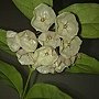 201311073762.jpg