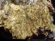 火山茅(sagenite)G29673.jpg