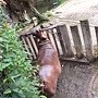 DSCF0111.JPG