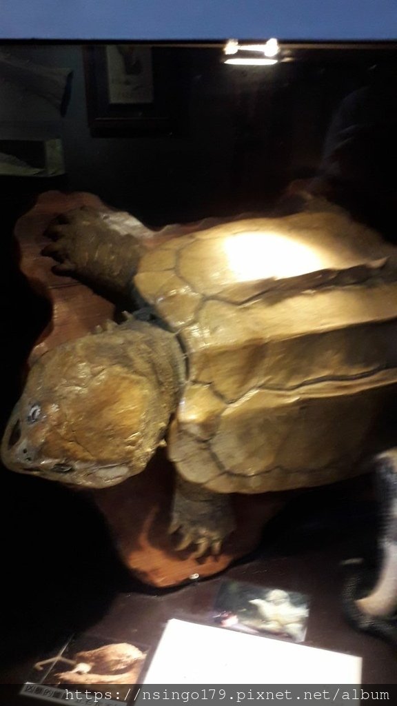 20190630_171746 (Copy).jpg