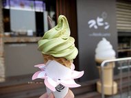P1240605_副本