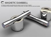 magneticdumbell.jpg