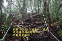 B25-IMGP2215-橫嶺山步道(往橫嶺山主峰).jpg