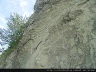 採集G28179.jpg