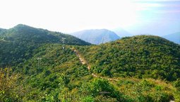hiking trail medium.jpg