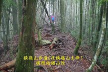 B20-IMGP2199-橫嶺山步道(往橫嶺山主峰).jpg