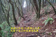 B22-IMGP2210-橫嶺山步道(往橫嶺山主峰).jpg