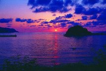 紫_180125_0081.jpg
