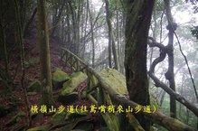 B19-IMGP2198-橫嶺山步道(往鳶嘴稍來山步道).jpg