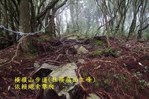 B26-IMGP2222-橫嶺山步道(往橫嶺山主峰).jpg