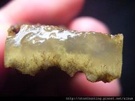 海草玉髓G25499.jpg