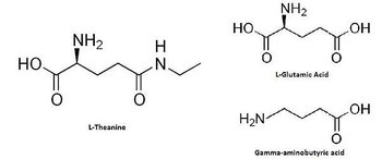 茶氨酸的結構式
