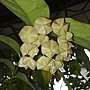 201311043748.jpg