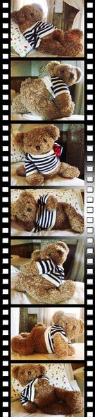 Sexy Teddy.jpg