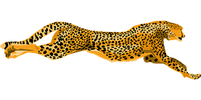 cheetah-40986_1280.png