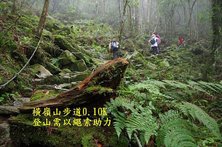 B17-IMGP2196-橫嶺山步道0.10K.jpg