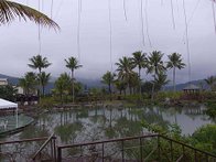IMGP3089.jpg