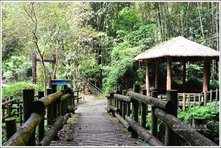 è¿·ç³Šæ­¥é“-ç¦å±±å¤é“