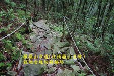 B24-IMGP2238-橫嶺山步道(往橫嶺山主峰).jpg