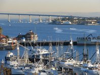 san_diego_bay_1