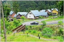 阿里山十字路-得恩亞納步道O形