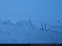 IMGP7475-1
