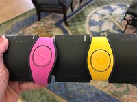 IMG_1729.JPG