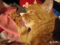 IMG_0433.jpg