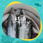 20230726-出海夜釣白帶魚！-V02-02.jpg