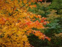 DSC02356.JPG