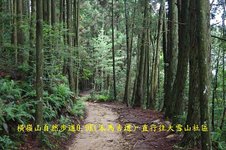 B12-IMGP2242-橫嶺山自然步道0.9K(木馬古道)-直行往大雪山社區.jpg