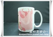 IMG_6072.JPG