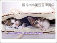 躲貓貓(網誌用).jpg