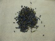 IMG_2653.JPG