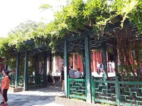 20190825_132134.jpg