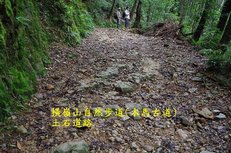 B07-IMGP2155-橫嶺山自然步道(木馬古道).jpg