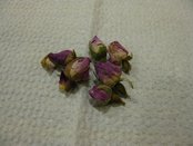 IMG_2654.JPG