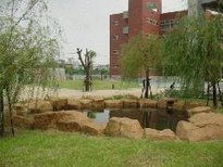 00164-7_small.jpg