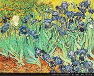 739px-VanGogh-Irises_1.jpg