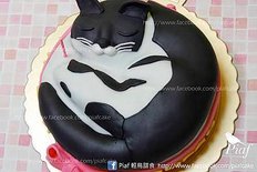 貓蛋糕cat cake