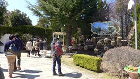 P1100095-2048.jpg