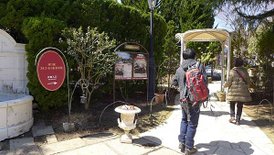 P1100096-2048.jpg