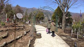 P1100099-2048.jpg