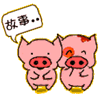 小豬.gif