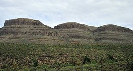 222-往Grand Canyon-.jpg