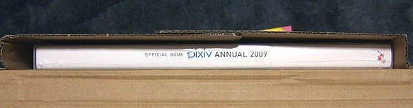 pixivannual02