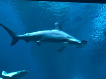 IMG_6430.jpg
